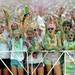 Participants dance and scream during a dance party at Riverside Park after the Ypsilanti Color Run 5K on Sunday morning. Melanie Maxwell I AnnArbor.com